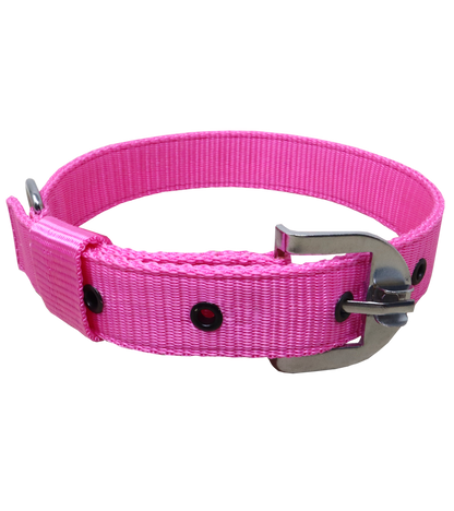 Ranch PP(Polypropylene) Collar For Dogs