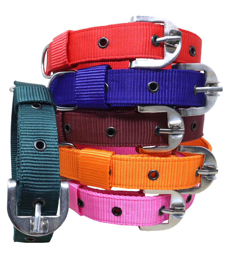 Ranch PP(Polypropylene) Collar For Dogs