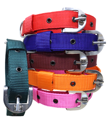 Ranch PP(Polypropylene) Collar For Dogs