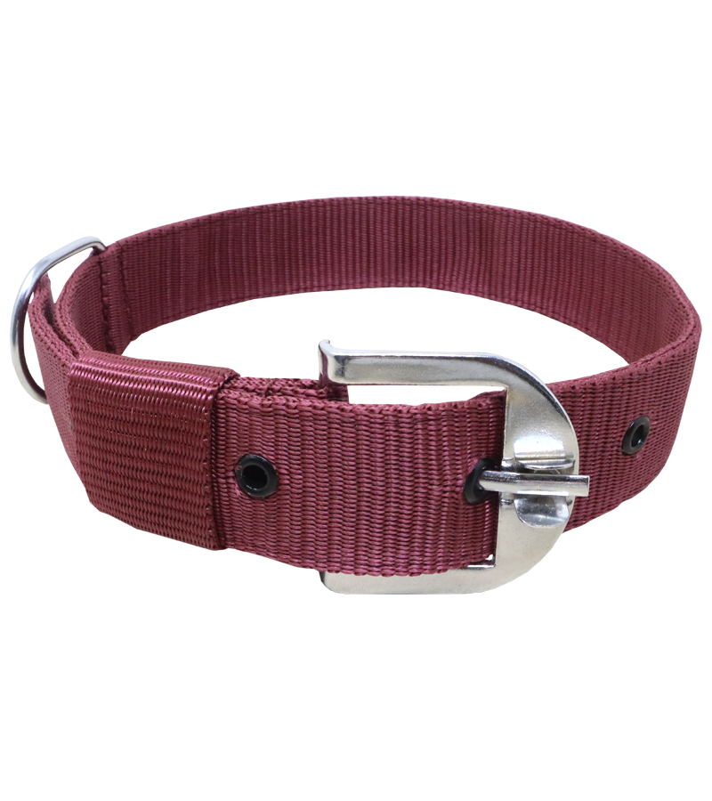 Ranch PP(Polypropylene) Collar For Dogs