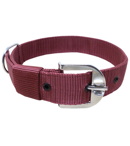 Ranch PP(Polypropylene) Collar For Dogs