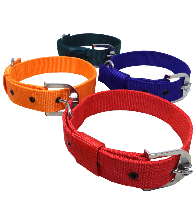 Ranch PP(Polypropylene) Collar For Dogs