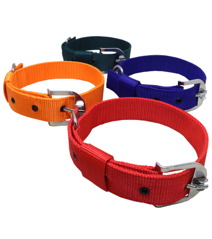 Ranch PP(Polypropylene) Collar For Dogs