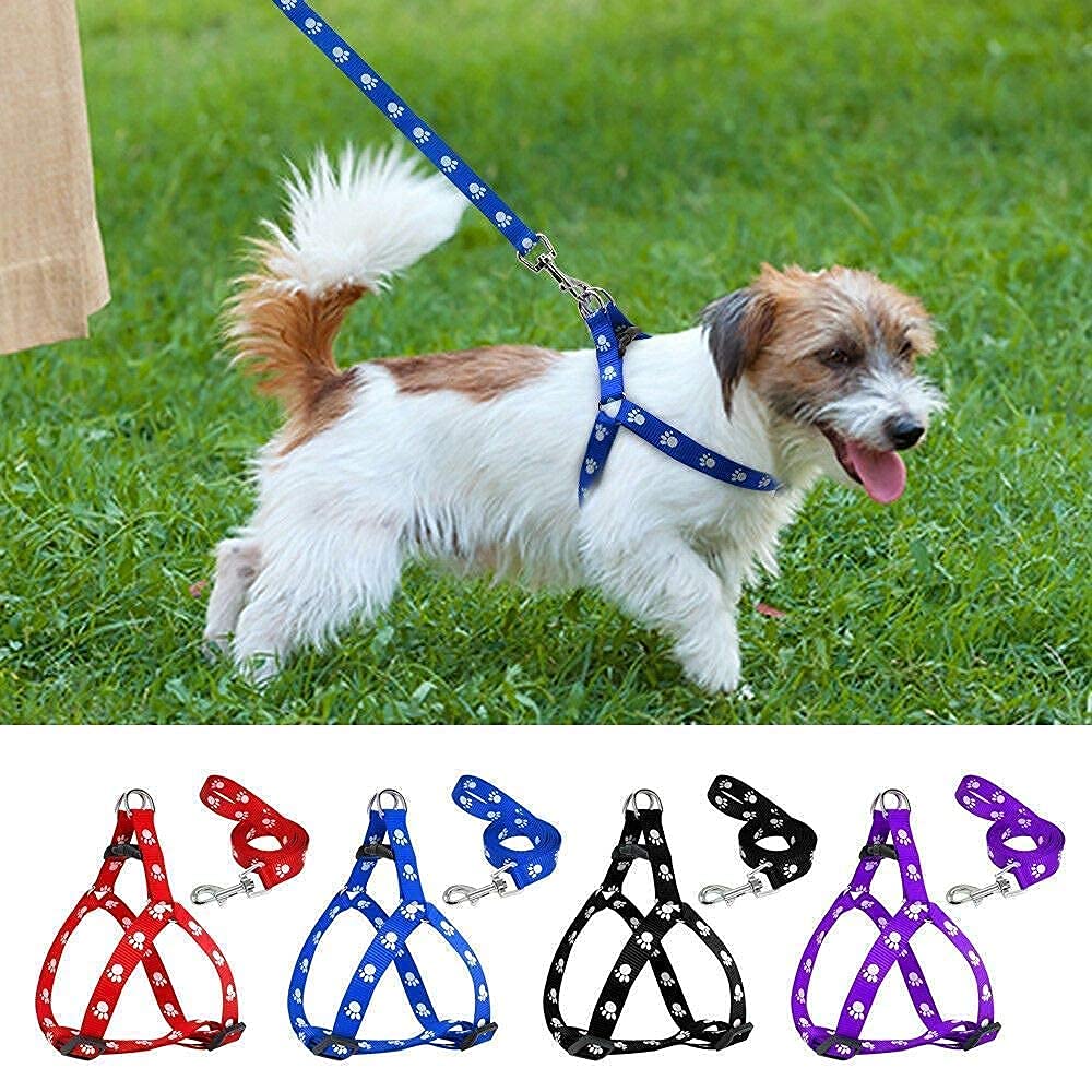 Adjustable Paw Print Harness Leash Set For Puppies And Cats
