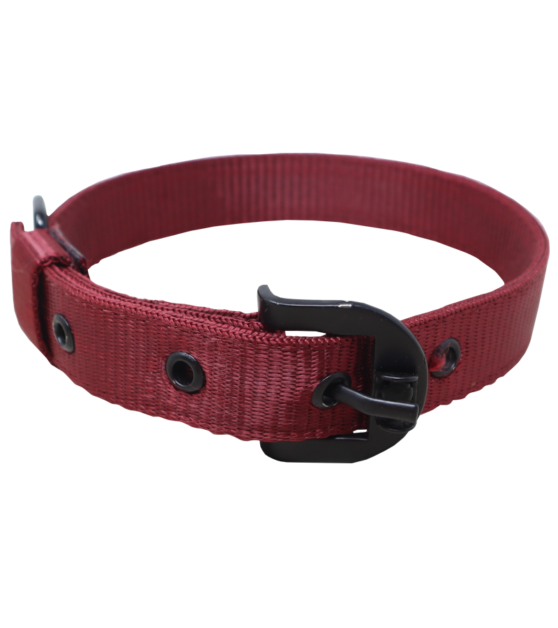 Ranch Nylon Collar For Dogs