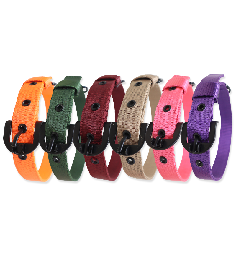 Ranch Nylon Collar For Dogs