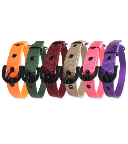 Ranch Nylon Collar For Dogs