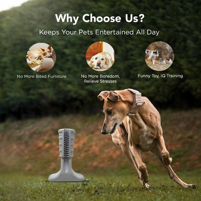 Plushmate Tooth Brush Stick Chew Toys for Dog Teeth Cleaning & Brushing Oral Dental Care Toy - Bite Resistant (Large)