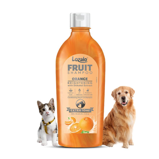 Lozalo Brightening Fruit Pet Shampoo 200 ml, Orange, Controls Bad Odour & Keep Pets Calm, pH Balanced, Paraben Free Conditioning Shampoo for Dogs & Cats of All Breeds, with Shikakai Extract