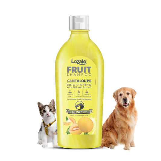 Lozalo Fruit Pet Shampoo, Cantaloupe, pH Balanced, Paraben Free Conditioning Shampoo for Dogs & Cats of All Breeds, Controls Bad Odour & Keep Pets Calm, Brightening with Shikakai Extract