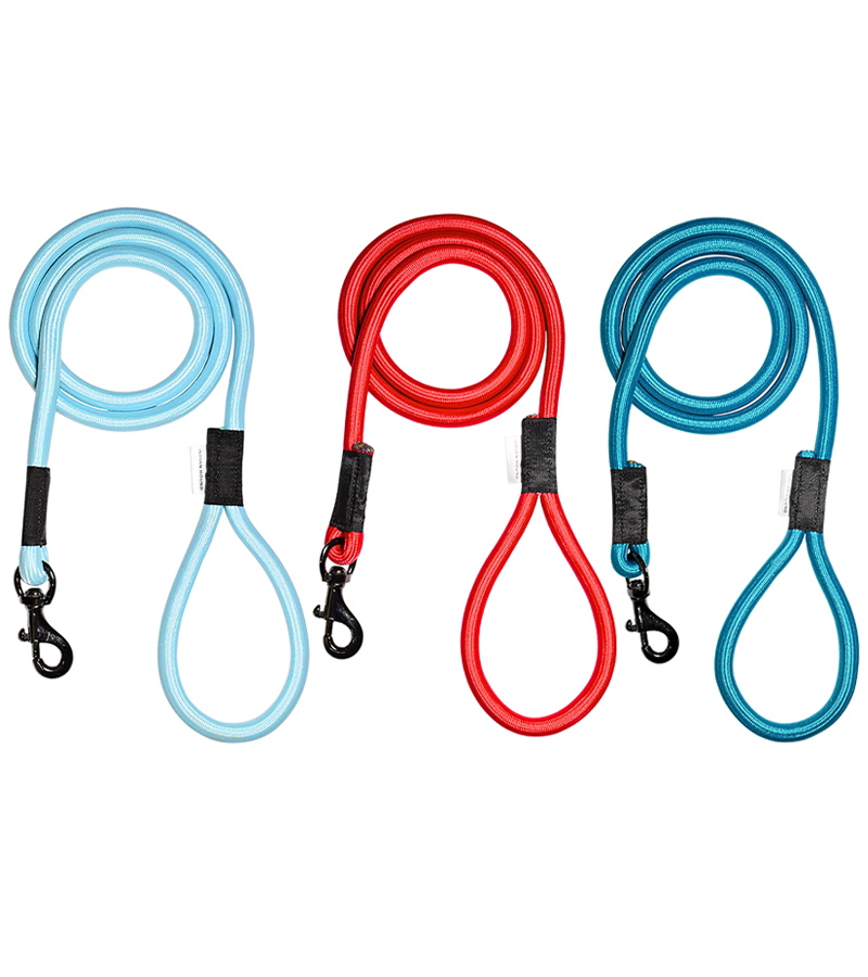 Indian Hound Nylon Rope Leash For Dogs