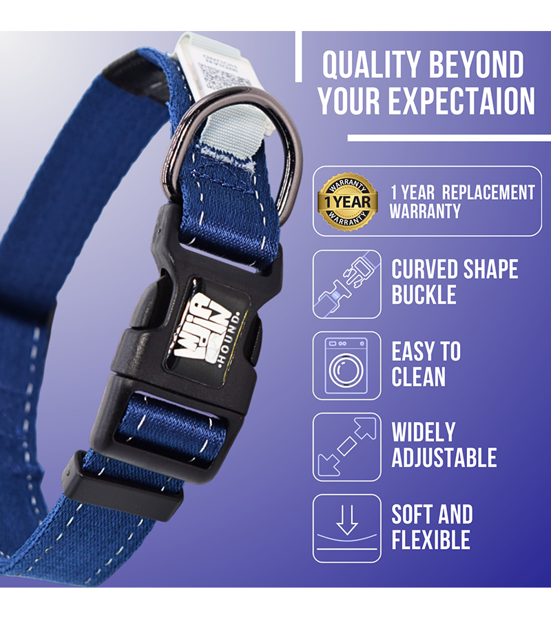 Indian Hound  Dog Collar with Personalized QR Tag