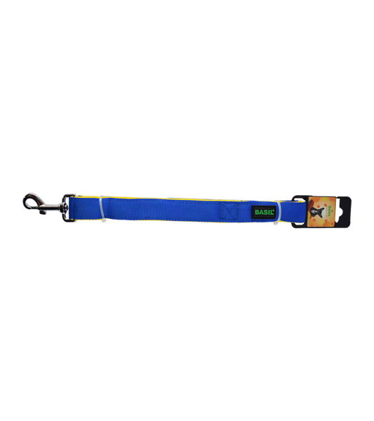 Basil Nylon Padded Leash for Dogs