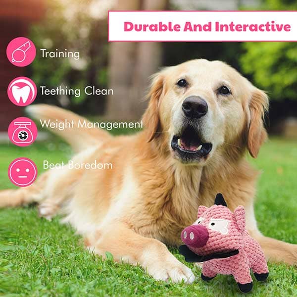 Pawsindia Peppa the Pig Toy for Dogs