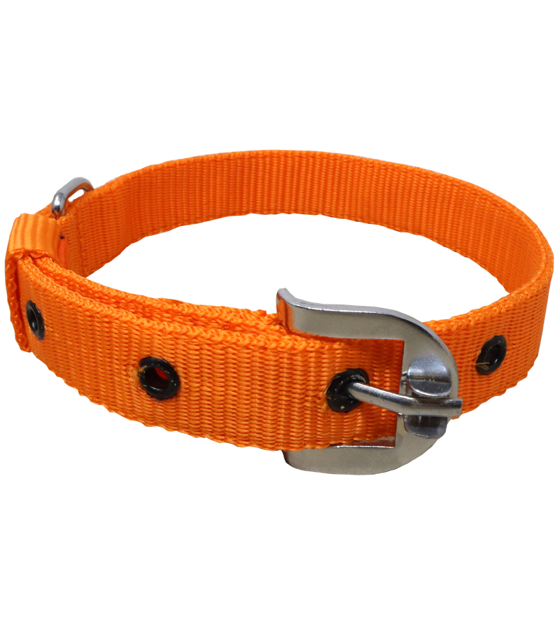 Ranch PP(Polypropylene) Collar For Dogs