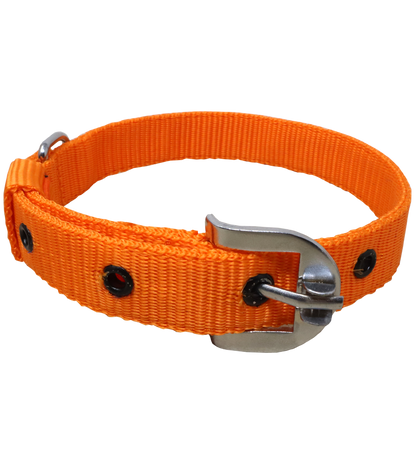 Ranch PP(Polypropylene) Collar For Dogs