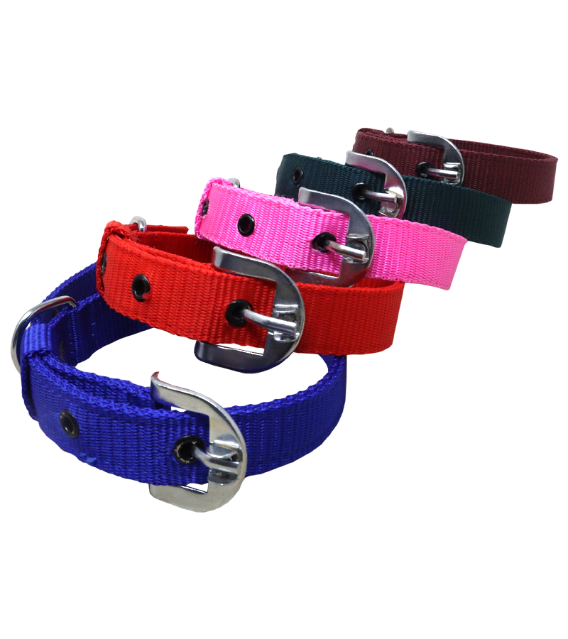 Ranch PP(Polypropylene) Collar For Dogs
