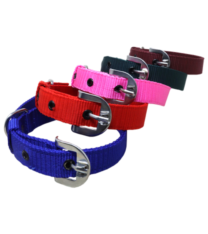 Ranch PP(Polypropylene) Collar For Dogs