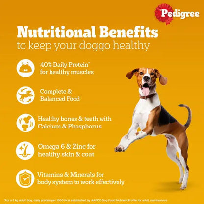 Pedigree Chicken and Liver Chunks in Gravy Adult Dog Wet Food (70g)