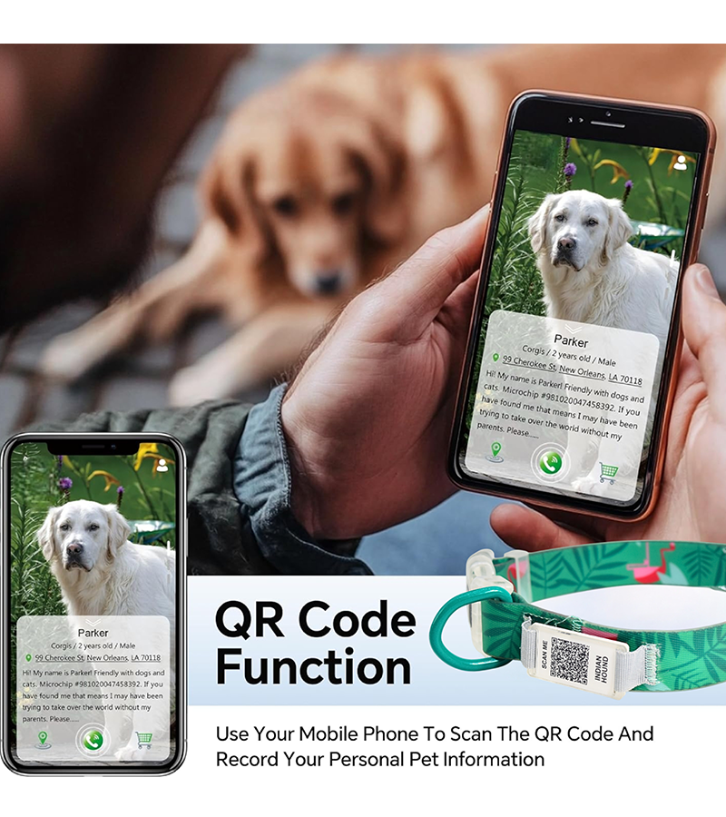 Indian Hound Premium Nylon Dog Collar with Personalized QR Tag