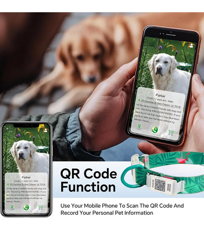 Indian Hound Premium Nylon Dog Collar with Personalized QR Tag