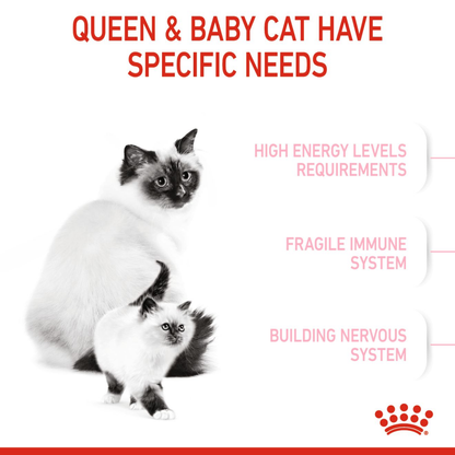 Royal Canin Mother & Babycat Cat Dry Food