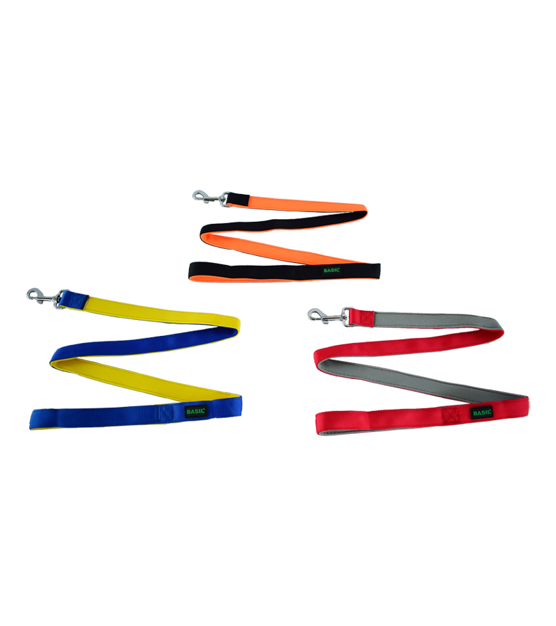 Basil Nylon Padded Leash for Dogs