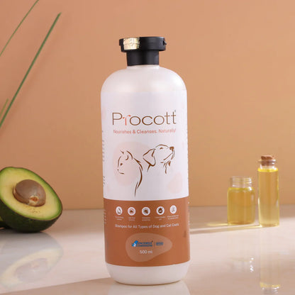 Intas Procott Shampoo for Dogs And Cats 275ml