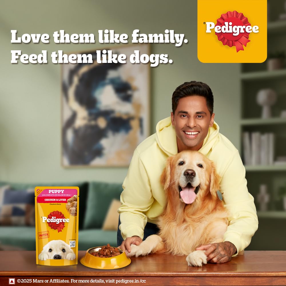 Pedigree Puppy Wet Dog Food, Chicken Chunks in Gravy 130gms