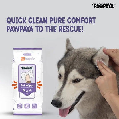 Pawpaya Pet Wipes Made for All Cats and Dogs (Pack Of 40)