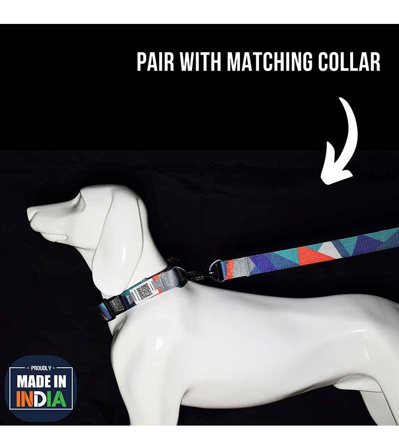 Indian Hound Nylon Printed Leash For Dogs