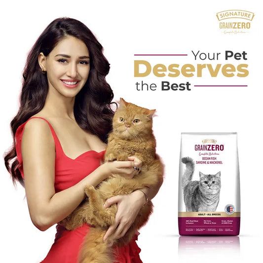 Signature Grain Zero Ocean Fish, Sardine and Mackerel Adult Cat Dry Food