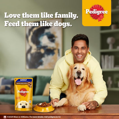 Pedigree Adult Wet Dog Food, Chicken & Liver Chunks in Gravy, 130 g