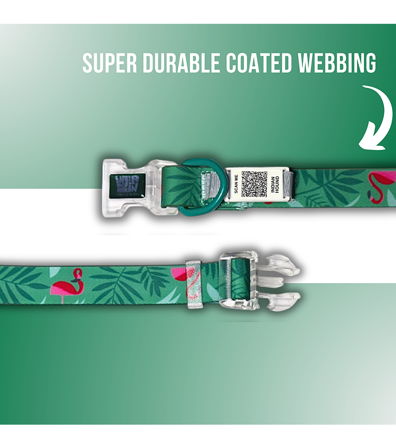 Indian Hound Premium Nylon Dog Collar with Personalized QR Tag