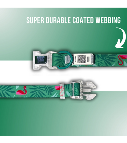 Indian Hound Premium Nylon Dog Collar with Personalized QR Tag