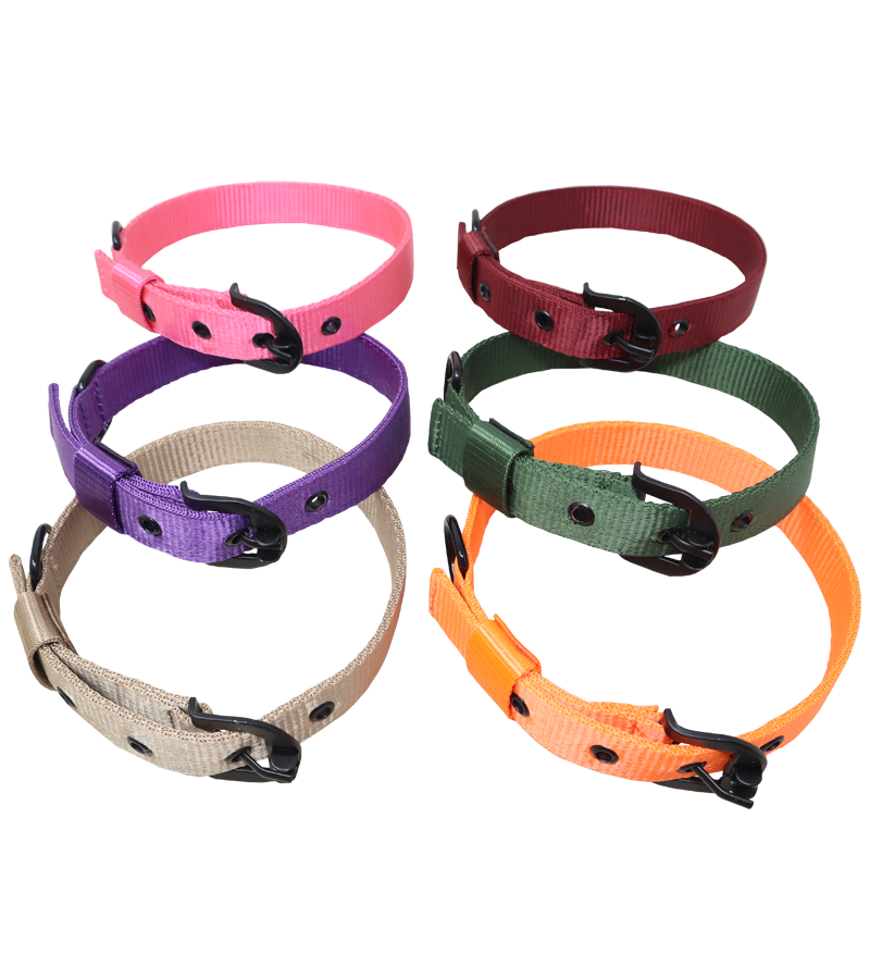 Ranch Nylon Collar For Dogs