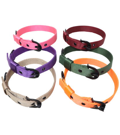 Ranch Nylon Collar For Dogs