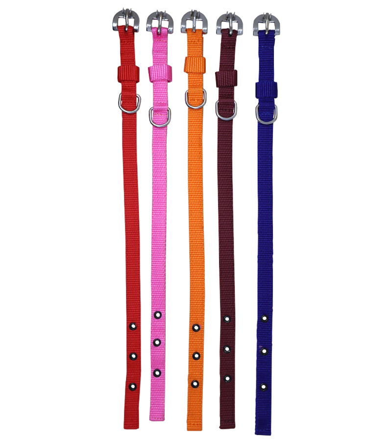 Ranch PP(Polypropylene) Collar For Dogs