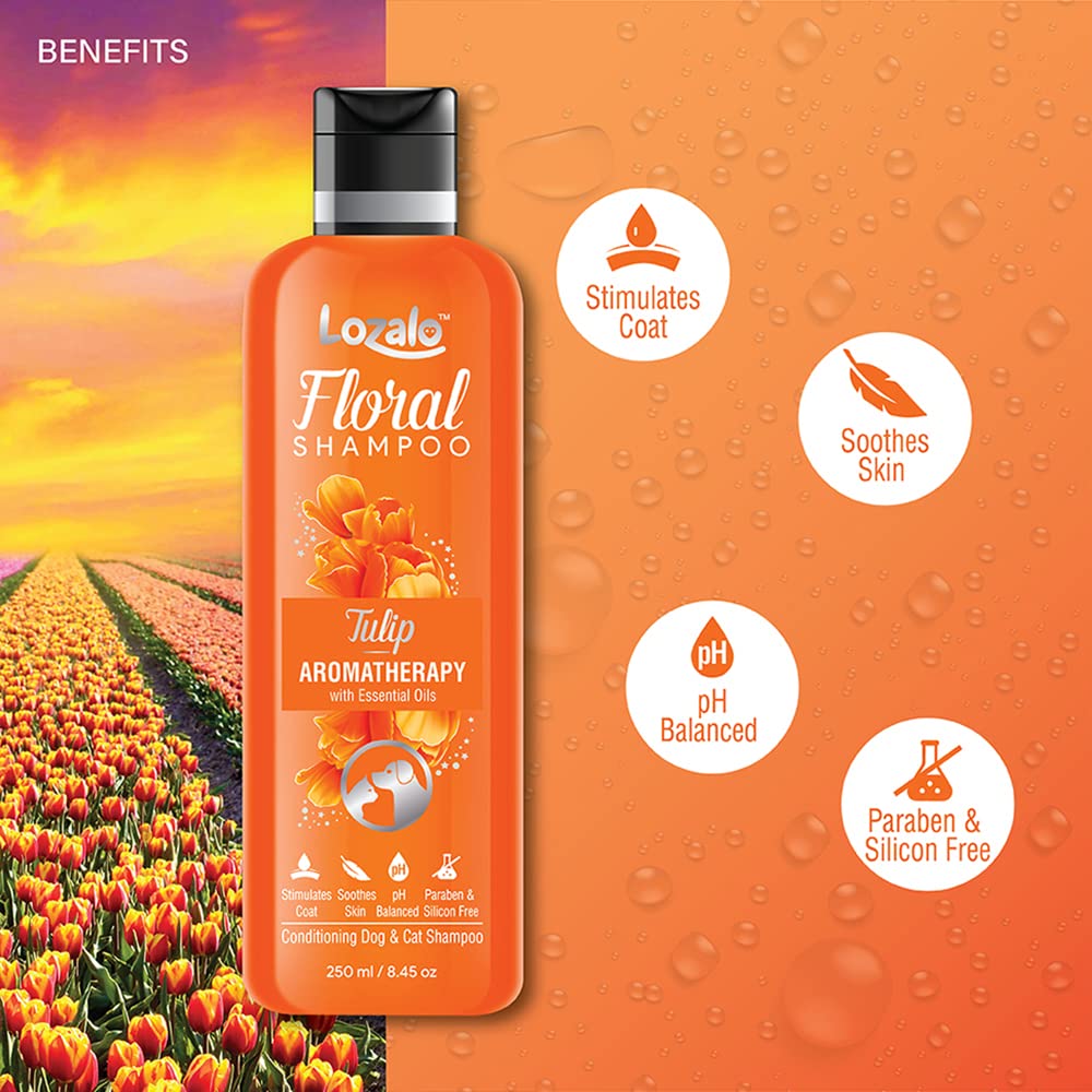 Lozalo Floral Aromatherapy Pet Conditioning Shampoo, Tulip Fragrance | Odour Control Shampoo for Dogs & Cats | with Aloe Vera Extract and Saffron Essential Oil