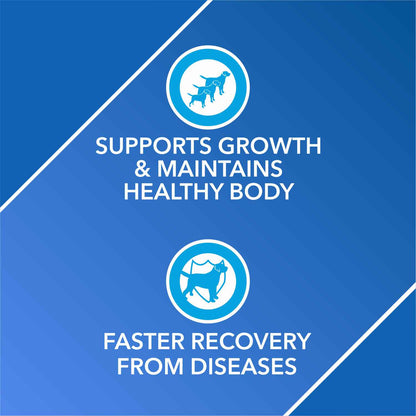 Drools Absolute Vitamin and Absolute Calcium Dog Supplement Tablets Combo