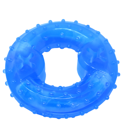 Holy Paws Cool Ring With Treat Dispenser Chilled Chew Toy For Dog - Blue