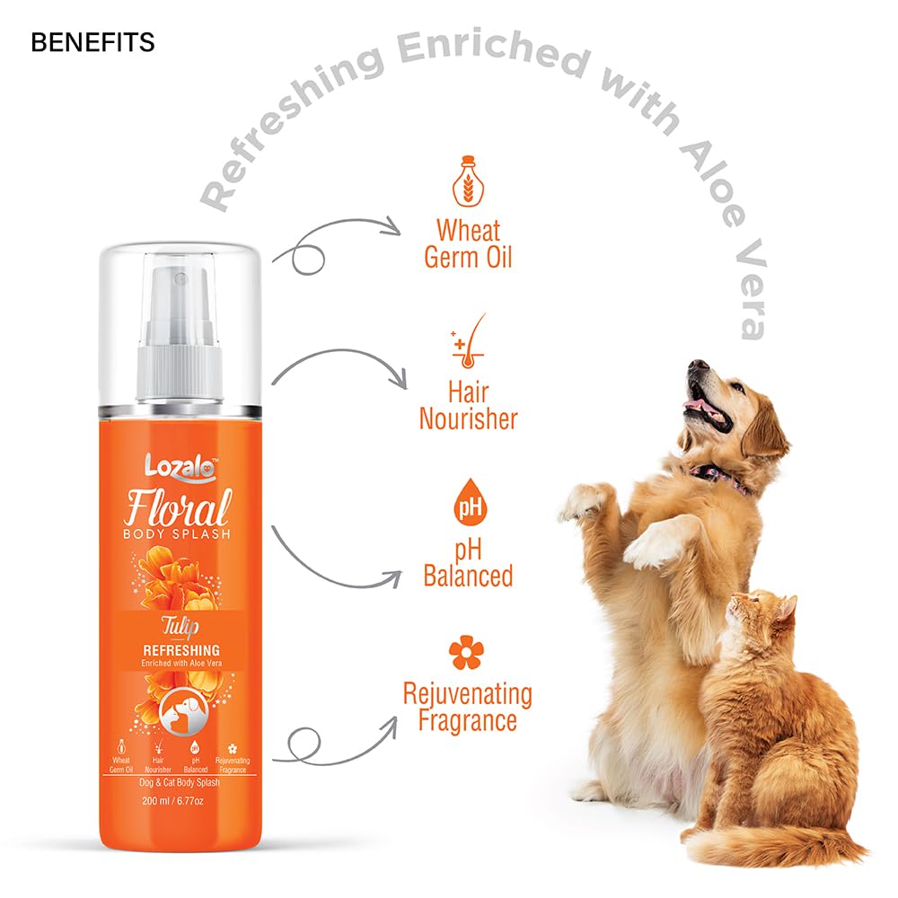 Lozalo Floral Pet Perfume Spray - 200 ml, Tulip, Deodorizing Long Lasting Natural Body Fragrance Dog Perfume Fresh Coat Spray for Dogs & Cats of All Breeds, with Aloe Vera Extract & Wheat Germ Oil