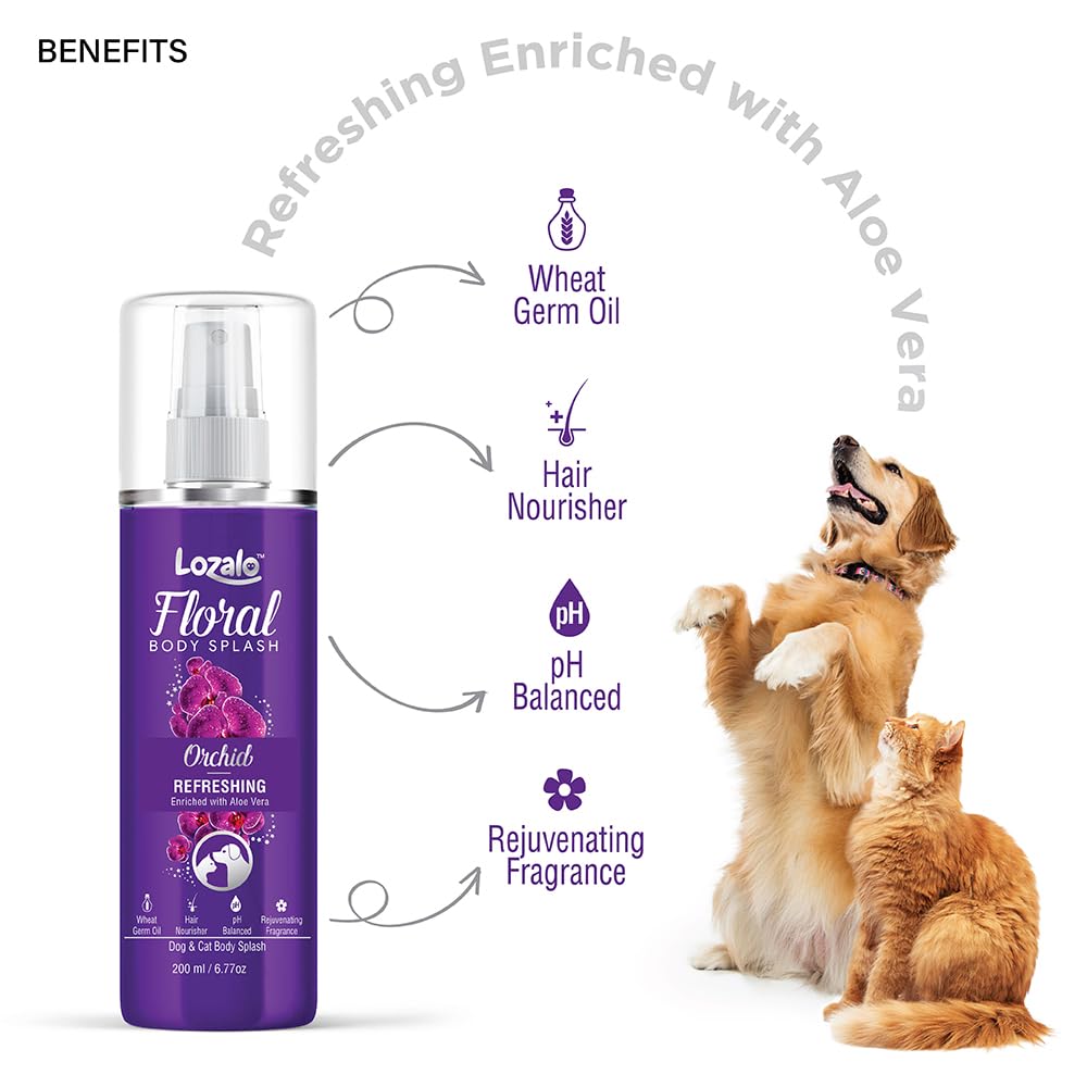 Lozalo Floral Dog Perfume Spray - 200 ml, Orchid, Deodorizing Long Lasting Fragrance Spray for Dogs & Cats, Odour Eliminator, Grooming Essential Pet Perfume, with Aloe Vera Extract & Wheat Germ Oil