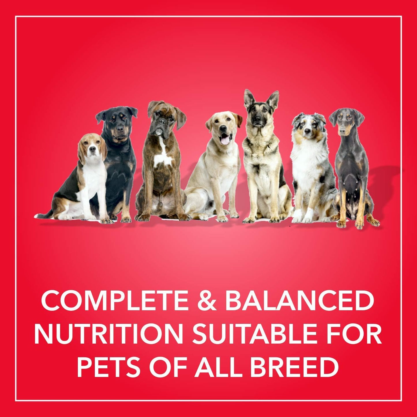 Purepet Adult Dry Dog Food 10kg | Meat & Rice Flavour