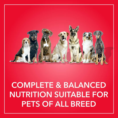 Purepet Adult Dry Dog Food 10kg | Meat & Rice Flavour