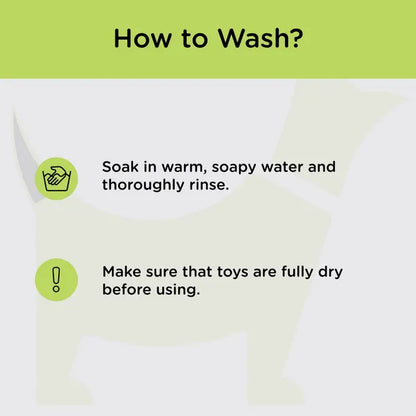 Basil Teething Ring Chew Toy for Dogs | For Medium Chewers