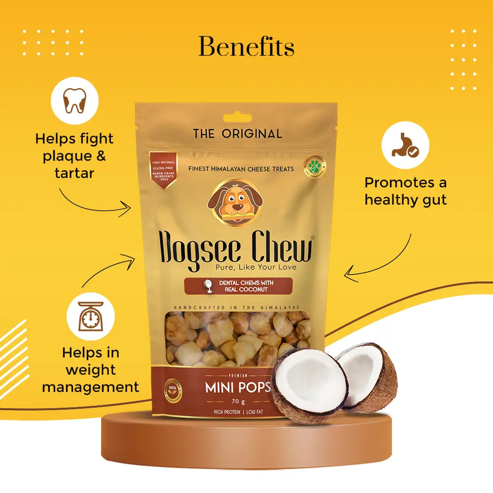 Dogsee Chew Coconut Mini Pops Dog Treats