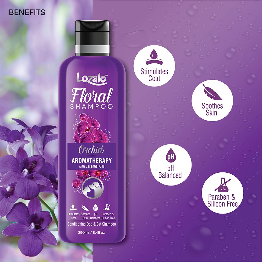 Lozalo Floral Aromatherapy Pet Conditioning Shampoo, Orchid Fragrance | Odour Control Shampoo for Dogs & Cats | with Aloe Vera Extract and Chamomile Oil