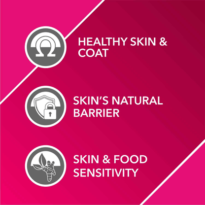 Drools Absolute Skin & Coat and Absolute Vitamin Supplement Tablets for Dogs Combo