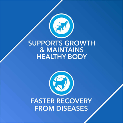 Drools Absolute Skin & Coat and Absolute Vitamin Supplement Tablets for Dogs Combo